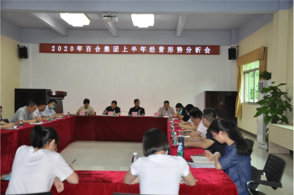 2020 Baihe Medical Device Group First-Half Working Meeting